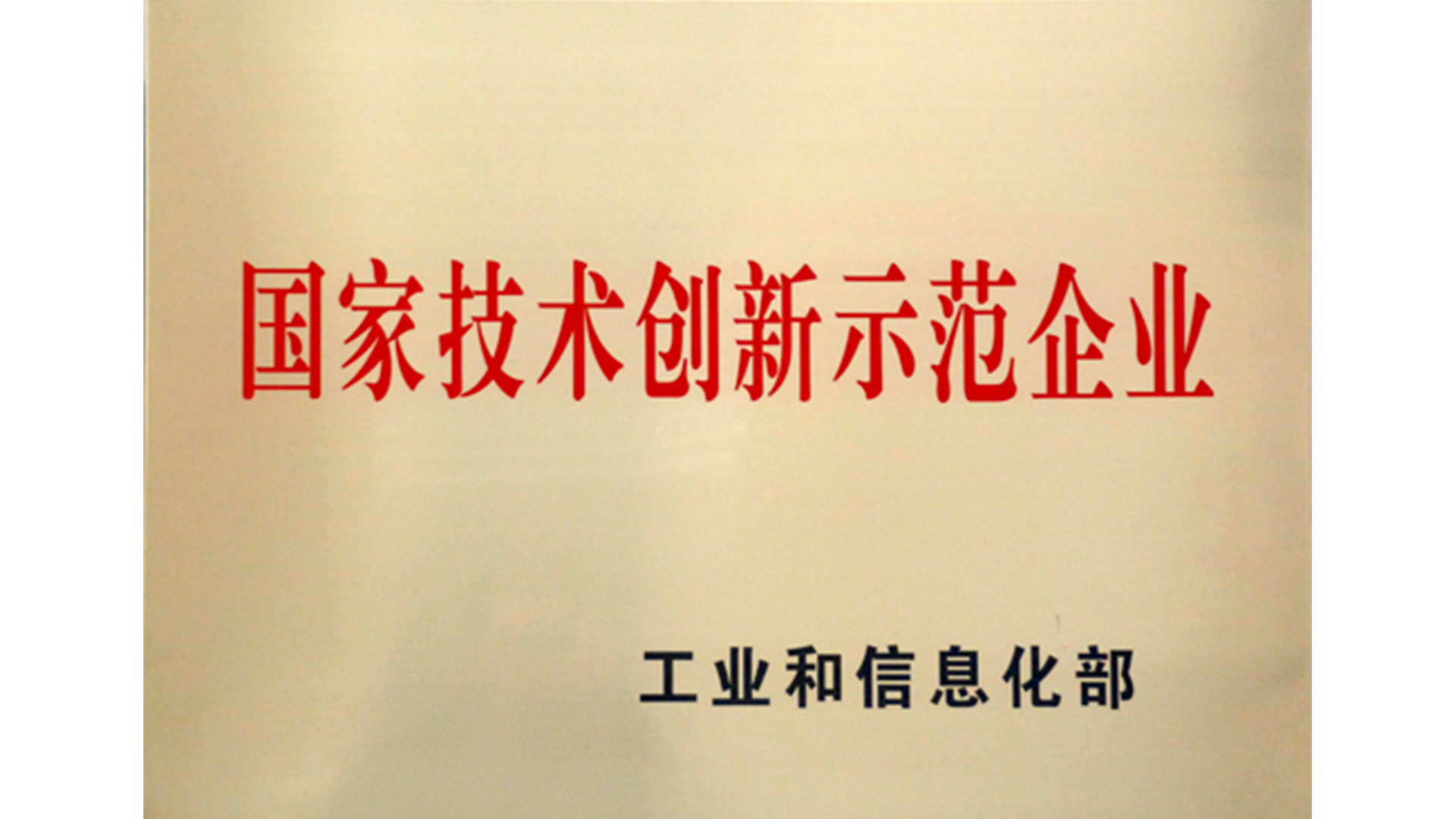 国家技术创新示范企业